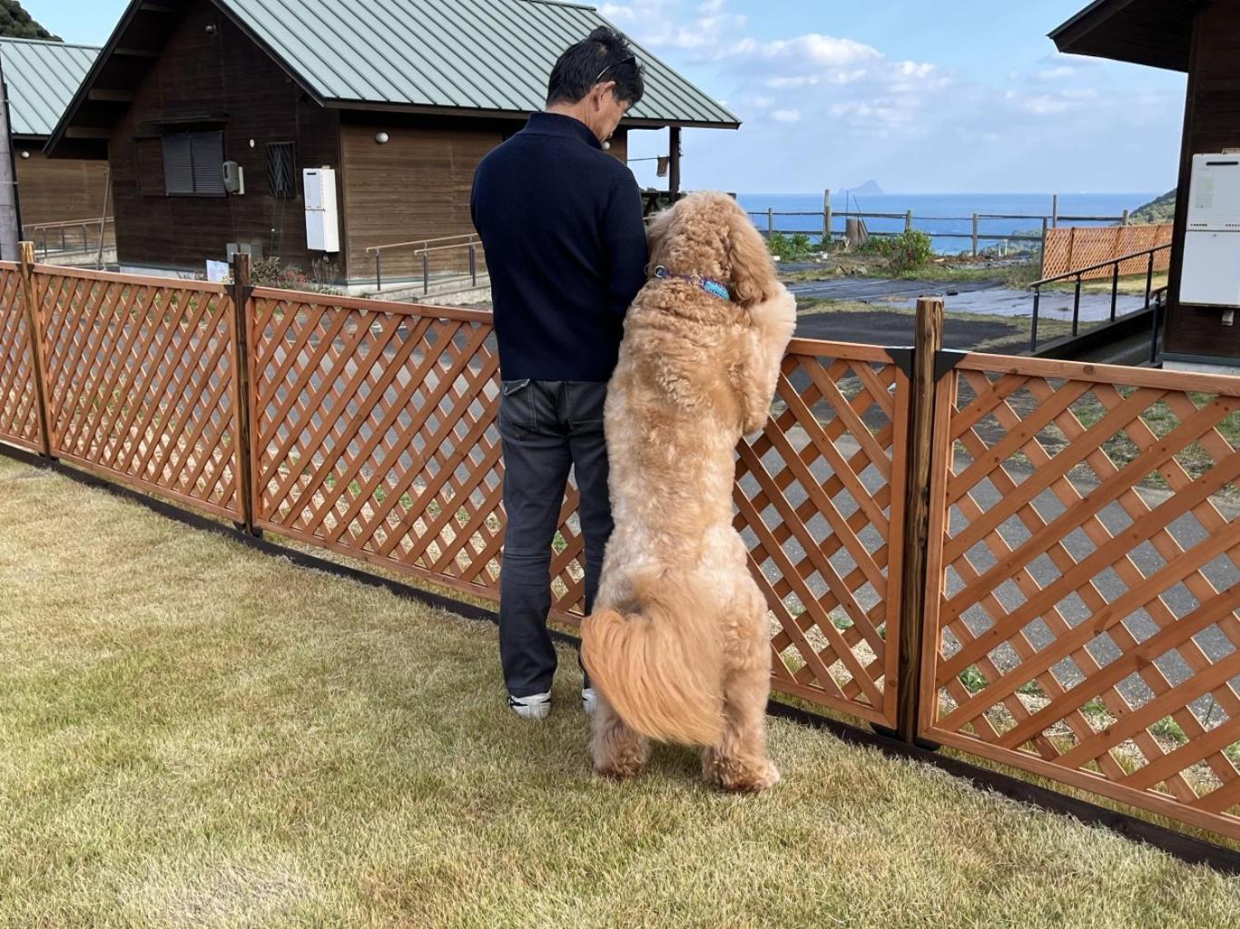舞鶴ふるるファームコテージ Maizuru Kültér fotó